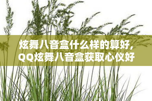 炫舞八音盒什么样的算好,QQ炫舞八音盒获取心仪好物的实用经验分享 炫舞八音盒什么样的算好,QQ炫舞八音盒获取心仪好物的实用经验分享