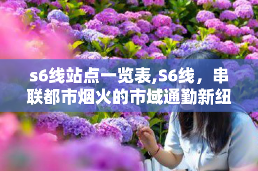 s6线站点一览表,S6线,串联都市烟火的市域通勤新纽带 s6线站点一览表,S6线,串联都市烟火的市域通勤新纽带