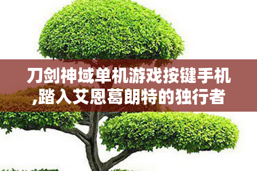 刀剑神域单机游戏按键手机,踏入艾恩葛朗特的独行者,刀剑神域单机游戏的浪漫体验 刀剑神域单机游戏按键手机,踏入艾恩葛朗特的独行者,刀剑神域单机游戏的浪漫体验