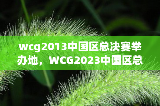 wcg2013中国区总决赛举办地,WCG2023中国区总决赛LOL,赛场暗影下的悬案,毛骨悚然真相待揭 wcg2013中国区总决赛举办地,WCG2023中国区总决赛LOL,赛场暗影下的悬案,毛骨悚然真相待揭