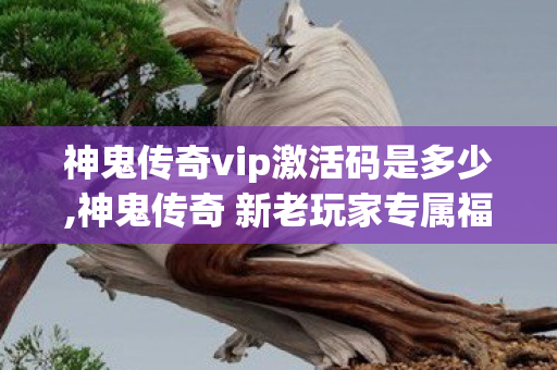 神鬼传奇vip激活码是多少,神鬼传奇 新老玩家专属福利获取全攻略 神鬼传奇vip激活码是多少,神鬼传奇 新老玩家专属福利获取全攻略