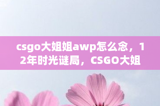 csgo大姐姐awp怎么念,12年时光谜局,CSGO大姐姐AWP的泪目价格变迁史 csgo大姐姐awp怎么念,12年时光谜局,CSGO大姐姐AWP的泪目价格变迁史
