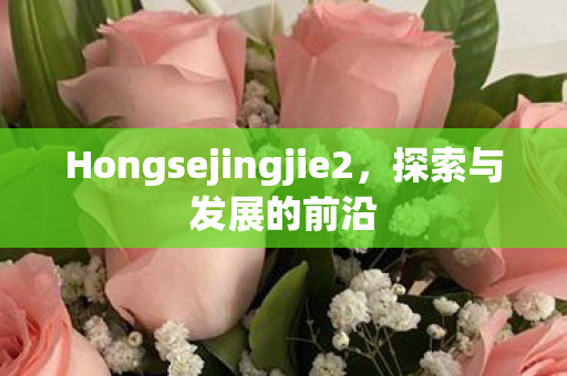 Hongsejingjie2图片