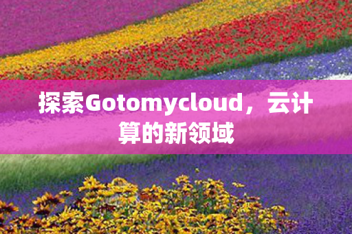 探索Gotomycloud图片