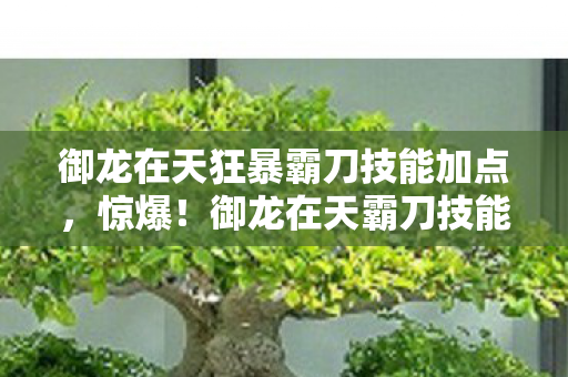御龙在天狂暴霸刀技能加点,惊爆!御龙在天霸刀技能加点图大揭秘,99%玩家都踩的坑! 御龙在天狂暴霸刀技能加点,惊爆!御龙在天霸刀技能加点图大揭秘,99%玩家都踩的坑!