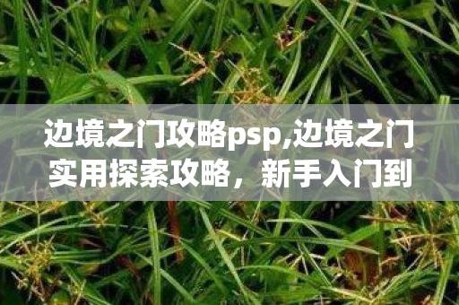 边境之门攻略psp,边境之门实用探索攻略,新手入门到通关全指南 边境之门攻略psp,边境之门实用探索攻略,新手入门到通关全指南