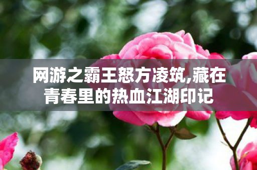 网游之霸王怒方凌筑,藏在青春里的热血江湖印记 网游之霸王怒方凌筑,藏在青春里的热血江湖印记