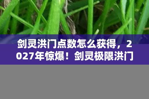 剑灵洪门点数怎么获得,2027年惊爆!剑灵极限洪门武器竟藏着这等逆天玄机? 剑灵洪门点数怎么获得,2027年惊爆!剑灵极限洪门武器竟藏着这等逆天玄机?