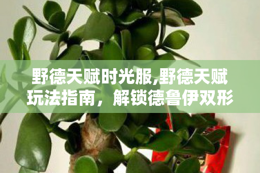 野德天赋时光服,野德天赋玩法指南，解锁德鲁伊双形态战斗的无限可能