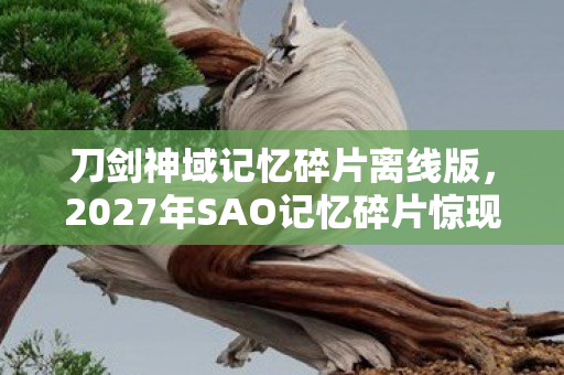 刀剑神域记忆碎片离线版,2027年SAO记忆碎片惊现血色密码,七日悬案背后,谁在操控你的死亡倒计时? 刀剑神域记忆碎片离线版,2027年SAO记忆碎片惊现血色密码,七日悬案背后,谁在操控你的死亡倒计时?