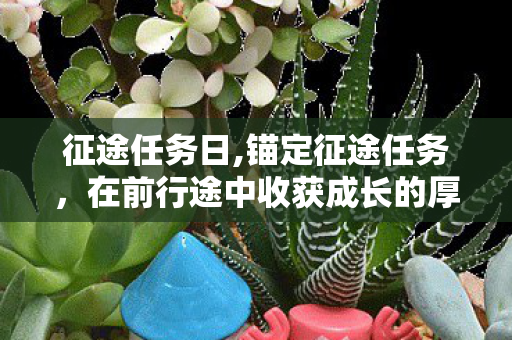 征途任务日,锚定征途任务,在前行途中收获成长的厚重回响 征途任务日,锚定征途任务,在前行途中收获成长的厚重回响