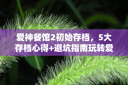 爱神餐馆2初始存档,5大存档心得+避坑指南玩转爱神餐馆2,这些坑你绝对要绕开! 爱神餐馆2初始存档,5大存档心得+避坑指南玩转爱神餐馆2,这些坑你绝对要绕开!