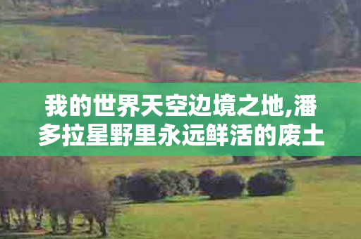 我的世界天空边境之地,潘多拉星野里永远鲜活的废土冒险童话