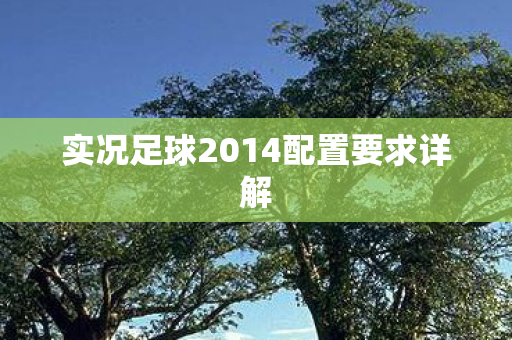 实况足球2014配置要求详解图片
