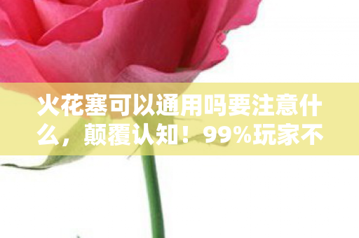 火花塞可以通用吗要注意什么,颠覆认知!99%玩家不知,火花塞通用率暴跌73%竟藏着暴利密码 火花塞可以通用吗要注意什么,颠覆认知!99%玩家不知,火花塞通用率暴跌73%竟藏着暴利密码