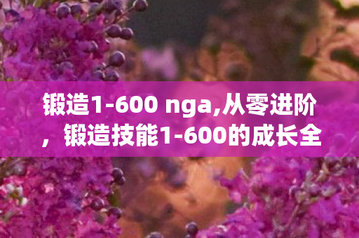 锻造1-600 nga,从零进阶,锻造技能1-600的成长全指南 锻造1-600 nga,从零进阶,锻造技能1-600的成长全指南
