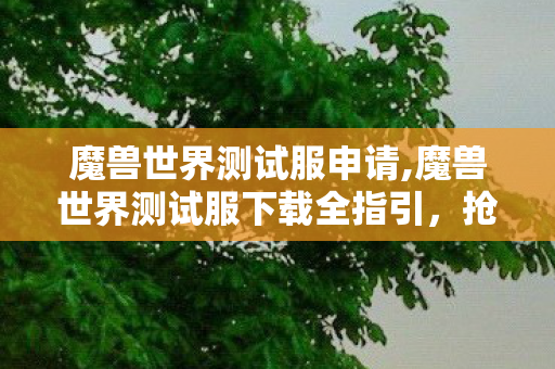 魔兽世界测试服申请,魔兽世界测试服下载全指引,抢先探索全新游戏内容的正确方式 魔兽世界测试服申请,魔兽世界测试服下载全指引,抢先探索全新游戏内容的正确方式
