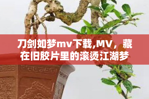 刀剑如梦mv下载,MV,藏在旧胶片里的滚烫江湖梦 刀剑如梦mv下载,MV,藏在旧胶片里的滚烫江湖梦