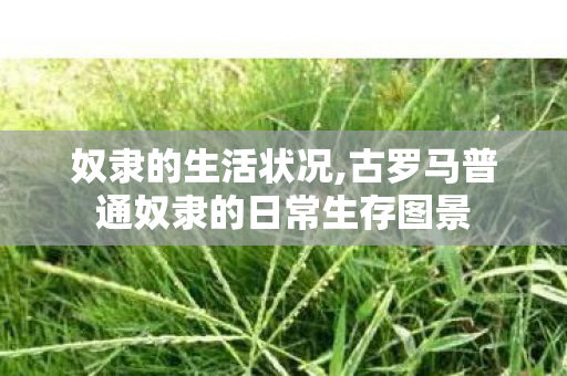 奴隶的生活状况,古罗马普通奴隶的日常生存图景 奴隶的生活状况,古罗马普通奴隶的日常生存图景