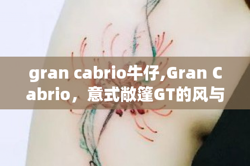 gran cabrio牛仔,Gran Cabrio,意式敞篷GT的风与浪漫叙事 gran cabrio牛仔,Gran Cabrio,意式敞篷GT的风与浪漫叙事