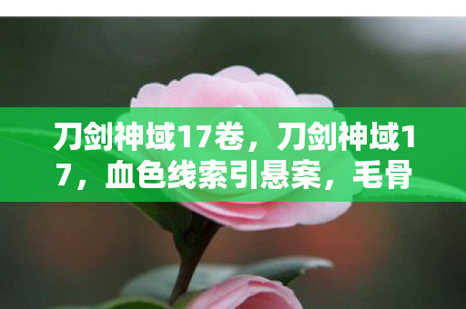 刀剑神域17卷，刀剑神域17，血色线索引悬案，毛骨悚然自掘坟