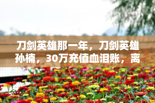 刀剑英雄那一年，刀剑英雄孙楠，30万充值血泪账，离婚协议背后藏惊天隐情！