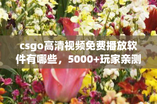 csgo高清视频免费播放软件有哪些,5000+玩家亲测!CSGO免费观影软件疑点重重,网友,这操作我绷不住了! csgo高清视频免费播放软件有哪些,5000+玩家亲测!CSGO免费观影软件疑点重重,网友,这操作我绷不住了!