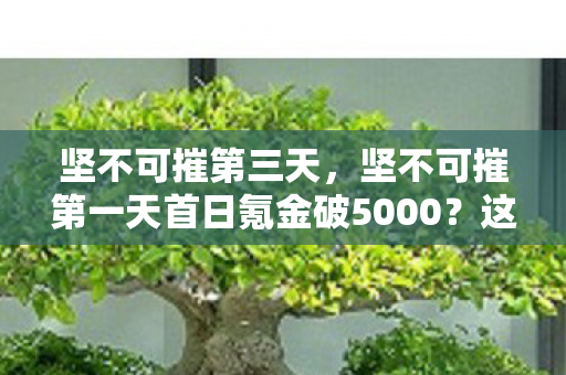 坚不可摧第三天,坚不可摧第一天首日氪金破5000?这破游戏藏着8个吃钱猫腻! 坚不可摧第三天,坚不可摧第一天首日氪金破5000?这破游戏藏着8个吃钱猫腻!