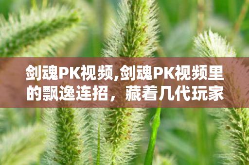 剑魂PK视频,剑魂PK视频里的飘逸连招,藏着几代玩家的格斗浪漫 剑魂PK视频,剑魂PK视频里的飘逸连招,藏着几代玩家的格斗浪漫