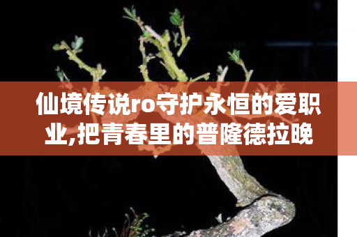 仙境传说ro守护永恒的爱职业,把青春里的普隆德拉晚风,吹到当下的每寸闲暇里 仙境传说ro守护永恒的爱职业,把青春里的普隆德拉晚风,吹到当下的每寸闲暇里