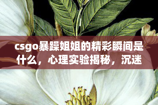 csgo暴躁姐姐的精彩瞬间是什么,心理实验揭秘,沉迷CSGO的细思极恐再来一局陷阱 csgo暴躁姐姐的精彩瞬间是什么,心理实验揭秘,沉迷CSGO的细思极恐再来一局陷阱