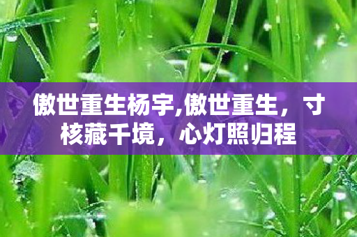 傲世重生杨宇,傲世重生,寸核藏千境,心灯照归程 傲世重生杨宇,傲世重生,寸核藏千境,心灯照归程