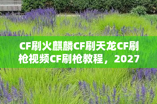 CF刷火麒麟CF刷天龙CF刷枪视频CF刷枪教程，2027年那串注册码，藏着火麒麟的约定，如今想起鼻子一酸
