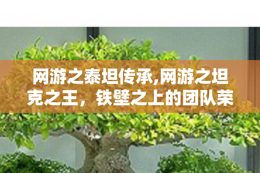 网游之泰坦传承,网游之坦克之王，铁壁之上的团队荣光