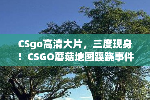 CSgo高清大片,三度现身!CSGO蘑菇地图蹊跷事件,背后真相让人后背发凉 CSgo高清大片,三度现身!CSGO蘑菇地图蹊跷事件,背后真相让人后背发凉
