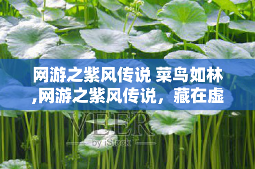 网游之紫风传说 菜鸟如林,网游之紫风传说,藏在虚拟次元里的少年江湖旧梦 网游之紫风传说 菜鸟如林,网游之紫风传说,藏在虚拟次元里的少年江湖旧梦