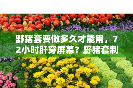 野猪套要做多久才能用,72小时肝穿屏幕?野猪套制作暗藏3大猫腻,这波操作让人直呼上头! 野猪套要做多久才能用,72小时肝穿屏幕?野猪套制作暗藏3大猫腻,这波操作让人直呼上头!