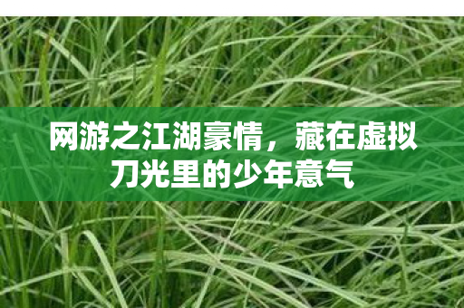 网游之江湖豪情，藏在虚拟刀光里的少年意气