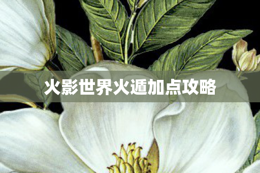 火影世界火遁加点攻略图片