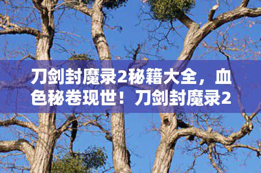 刀剑封魔录2秘籍大全,血色秘卷现世!刀剑封魔录2暗夜悬案,谁在操控生死轮回? 刀剑封魔录2秘籍大全,血色秘卷现世!刀剑封魔录2暗夜悬案,谁在操控生死轮回?