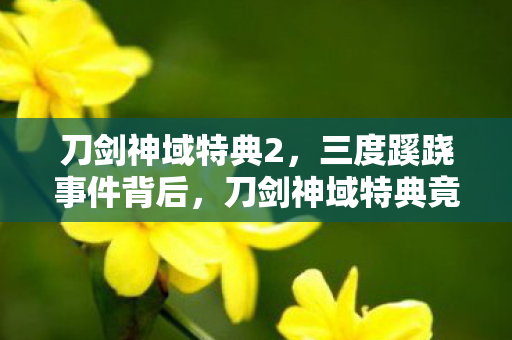 刀剑神域特典2，三度蹊跷事件背后，刀剑神域特典竟让人后背发凉！