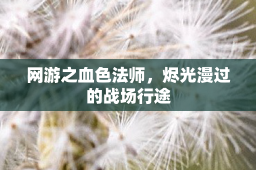 网游之血色法师，烬光漫过的战场行途
