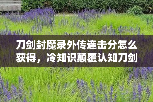 刀剑封魔录外传连击分怎么获得,冷知识颠覆认知刀剑封魔录连击系统暗藏炸弹密码,99%玩家目瞪口呆! 刀剑封魔录外传连击分怎么获得,冷知识颠覆认知刀剑封魔录连击系统暗藏炸弹密码,99%玩家目瞪口呆!