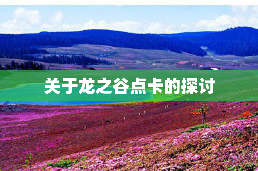 关于龙之谷点卡的探讨图片