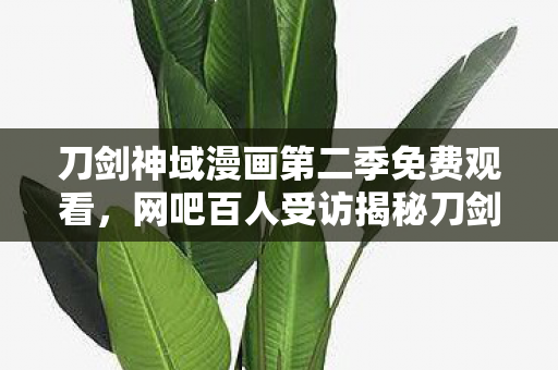 刀剑神域漫画第二季免费观看,网吧百人受访揭秘刀剑神域第二季,疑点重重,我绷不住了! 刀剑神域漫画第二季免费观看,网吧百人受访揭秘刀剑神域第二季,疑点重重,我绷不住了!