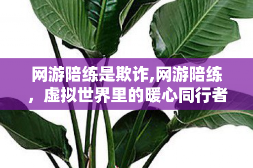 网游陪练是欺诈,网游陪练,虚拟世界里的暖心同行者 网游陪练是欺诈,网游陪练,虚拟世界里的暖心同行者