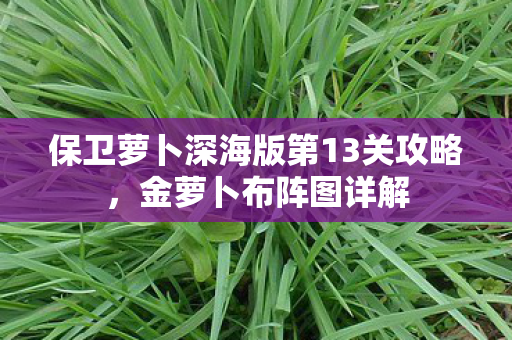 保卫萝卜深海版第13关攻略图片