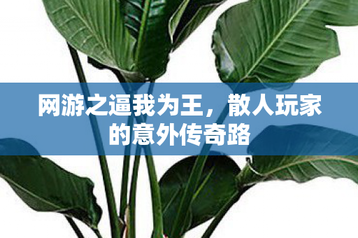 网游之逼我为王，散人玩家的意外传奇路