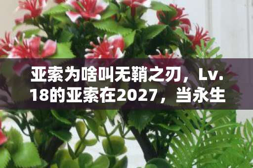 亚索为啥叫无鞘之刃,Lv.18的亚索在2027,当永生悖论撞碎中年灵魂的审判之墙 亚索为啥叫无鞘之刃,Lv.18的亚索在2027,当永生悖论撞碎中年灵魂的审判之墙