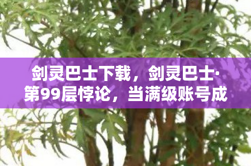 剑灵巴士下载,剑灵巴士·第99层悖论,当满级账号成为现实人生的负数解 剑灵巴士下载,剑灵巴士·第99层悖论,当满级账号成为现实人生的负数解